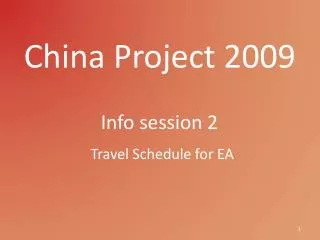 China Project 2009