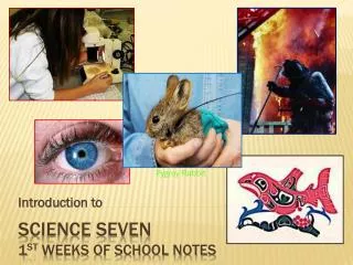 Science Seven 1 st weeks of school Notes