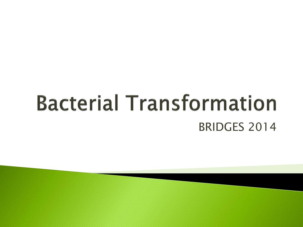 PPT - Bacterial Transformation PowerPoint Presentation, free download ...