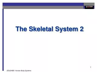 The Skeletal System 2