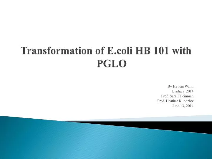 transformation of e coli hb 101 with pglo