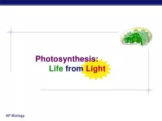 Photosynthesis: Life from Light