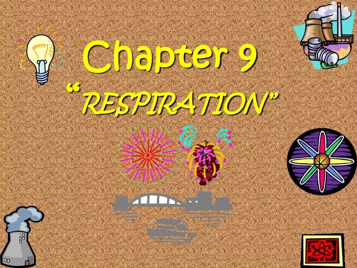 chapter 9 respiration