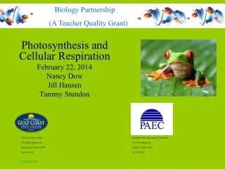 Photosynthesis and Cellular Respiration February 22, 2014 Nancy Dow Jill Hansen Tammy Stundon