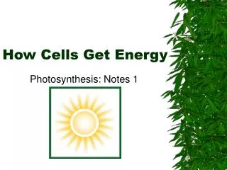 How Cells Get Energy