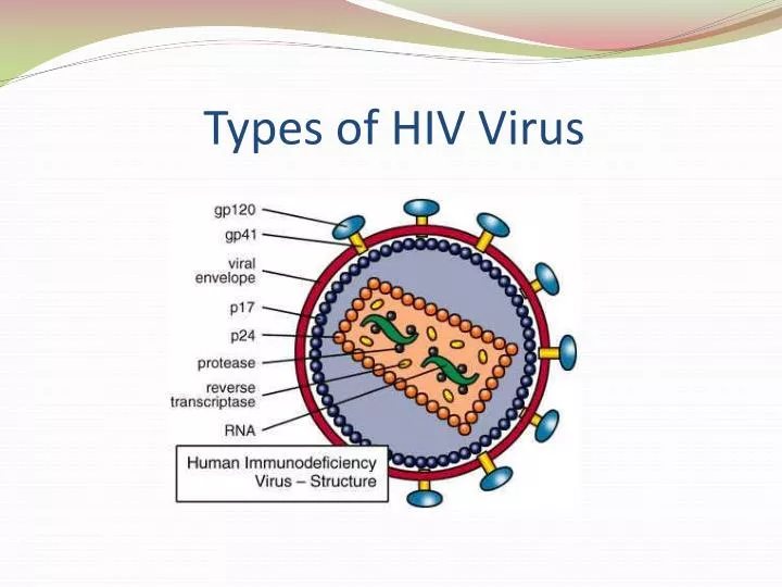 types of hiv virus