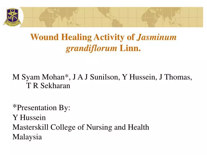 wound healing activity of jasminum grandiflorum linn