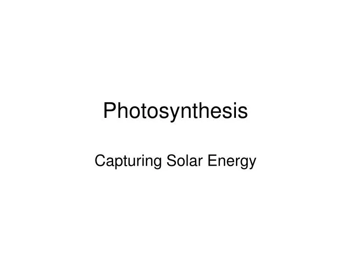 photosynthesis