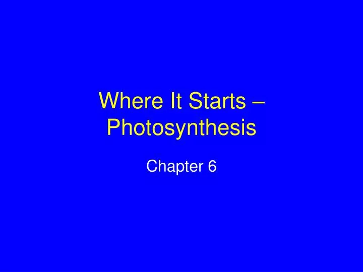 where it starts photosynthesis