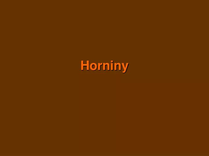 horniny