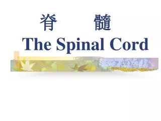 脊 髓 The Spinal Cord