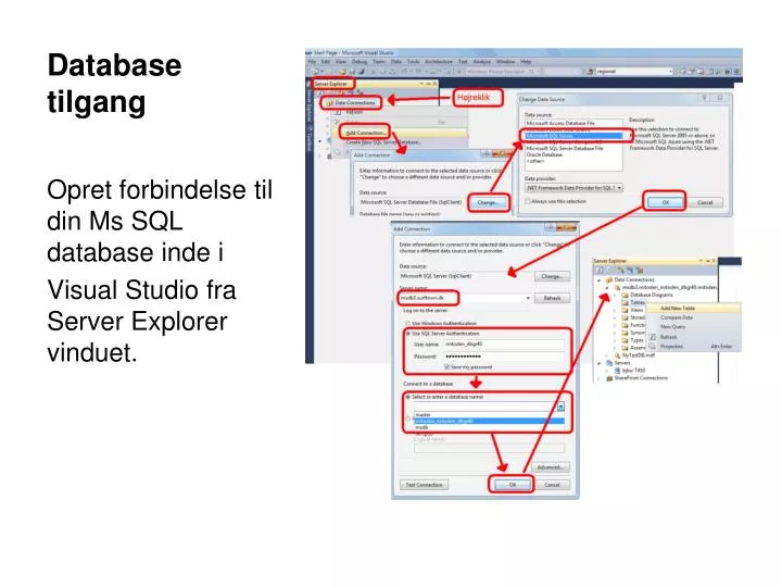 database tilgang