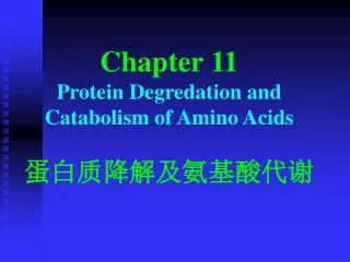 Chapter 11 P rotein D egredation and C atabolism of A mino A cids 蛋白质降解及氨基酸代谢