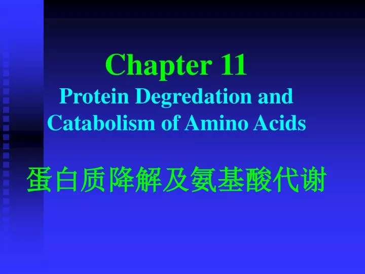 chapter 11 p rotein d egredation and c atabolism of a mino a cids
