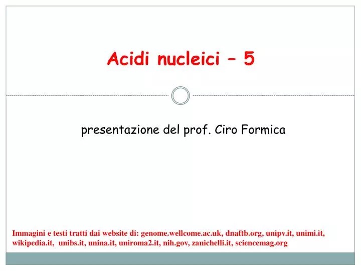 acidi nucleici 5