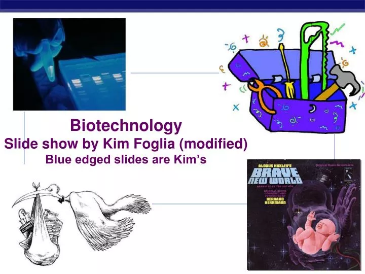 biotechnology slide show by kim foglia modified blue edged slides are kim s