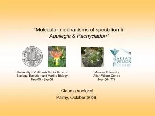 “Molecular mechanisms of speciation in Aquilegia &amp; Pachycladon ”