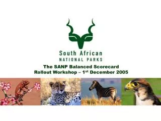 The SANP Balanced Scorecard Rollout Workshop – 1 st December 2005