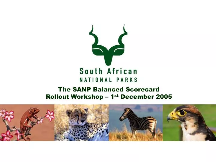 the sanp balanced scorecard rollout workshop 1 st december 2005