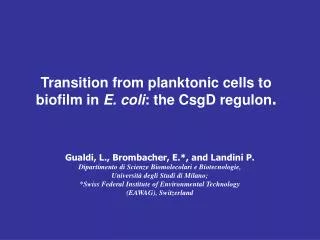 Transition from planktonic cells to biofilm in E. coli : the CsgD regulon .
