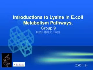 Introductions to Lysine in E.coli Metabolism Pathways. Group 9 ??? ??? ???