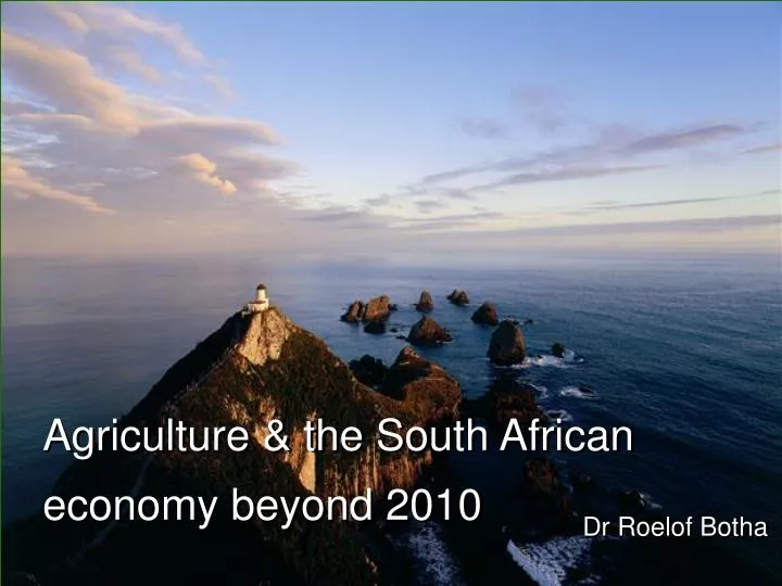 agriculture the south african economy beyond 2010