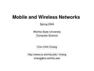 Mobile and Wireless Networks