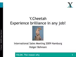 Y.Cheetah Experience brilliance in any job!