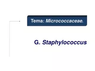 G. Staphylococcus