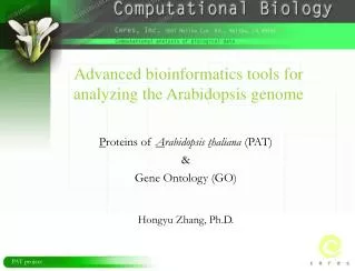 Advanced bioinformatics tools for analyzing the Arabidopsis genome