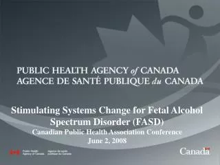 Stimulating Systems Change for Fetal Alcohol Spectrum Disorder (FASD)