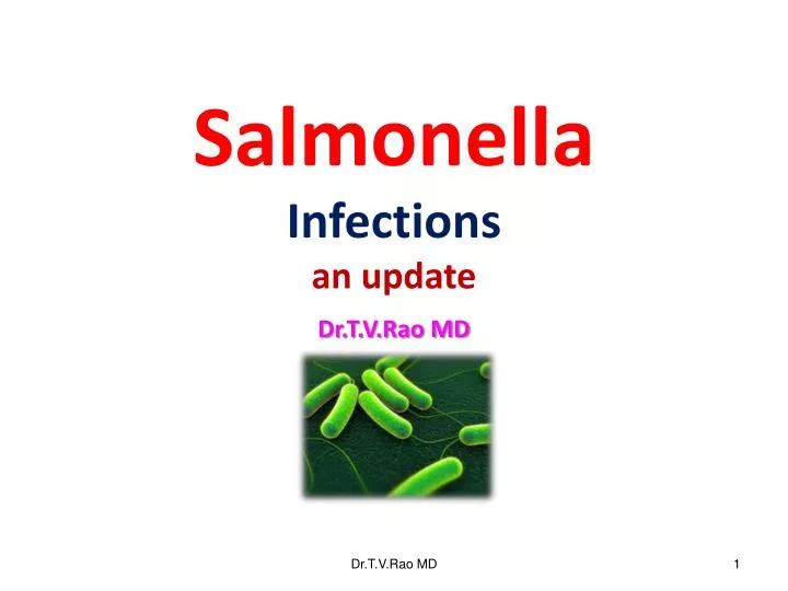 salmonella infections an update