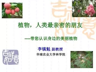 植物，人类最亲密的朋友 ---- 带您认识身边的美丽植物 李镇魁 副教授 华南农业大学林学院