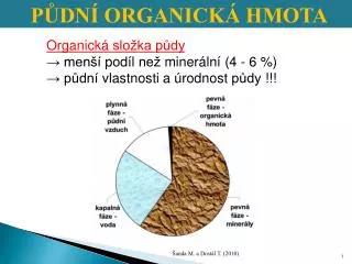 Organická složka půdy → menší podíl než minerální (4 - 6 %)