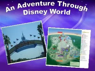 An Adventure Through Disney World