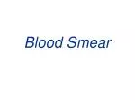 Blood Smear - slide 1