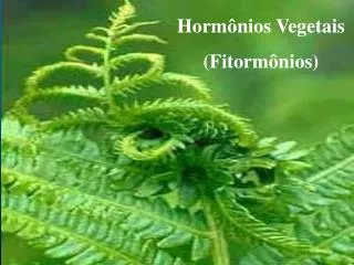 Hormônios Vegetais (Fitormônios)