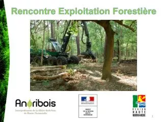 Rencontre Exploitation Forestière