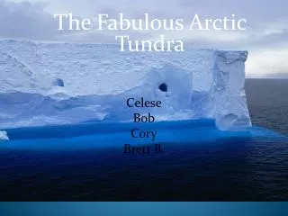The Fabulous Arctic Tundra .