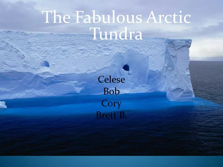 the fabulous arctic tundra