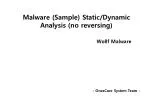 Malware (Sample) Static/Dynamic Analysis (no reversing) - slide 1