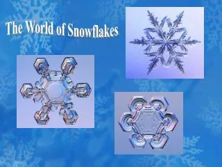 The World of Snowflakes
