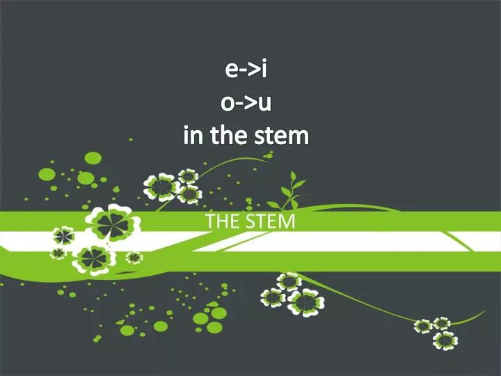 e i o u in the stem