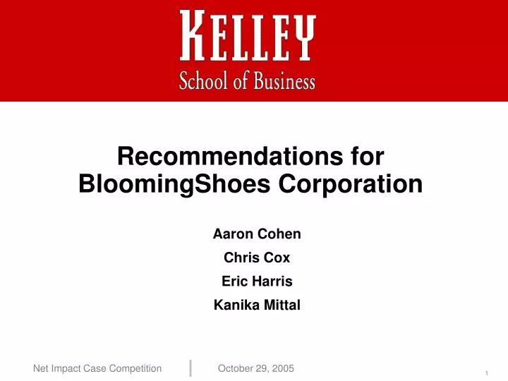 recommendations for bloomingshoes corporation