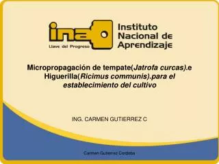 ING. CARMEN GUTIERREZ C