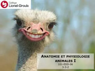 Anatomie et physiologie animales I 101-EDD-06 3-3-2