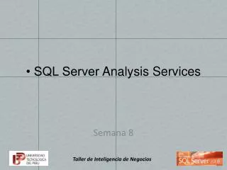 • SQL Server Analysis Services