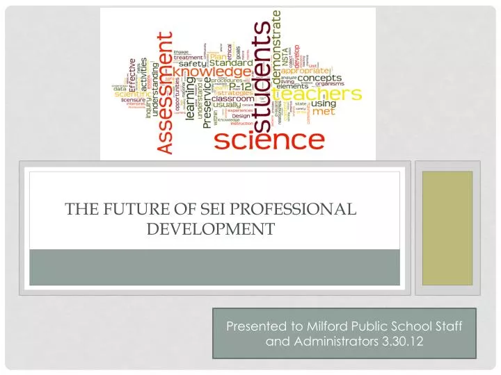the future of sei professional development