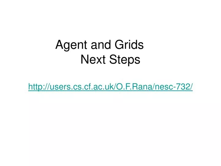 agent and grids next steps http users cs cf ac uk o f rana nesc 732
