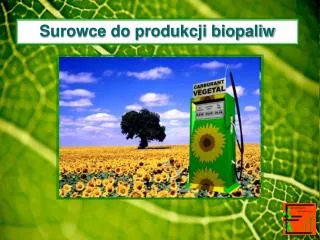 Surowce do produkcji biopaliw